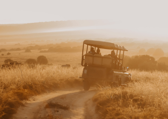 Bild Südafrika - Gardenroute Reisebericht