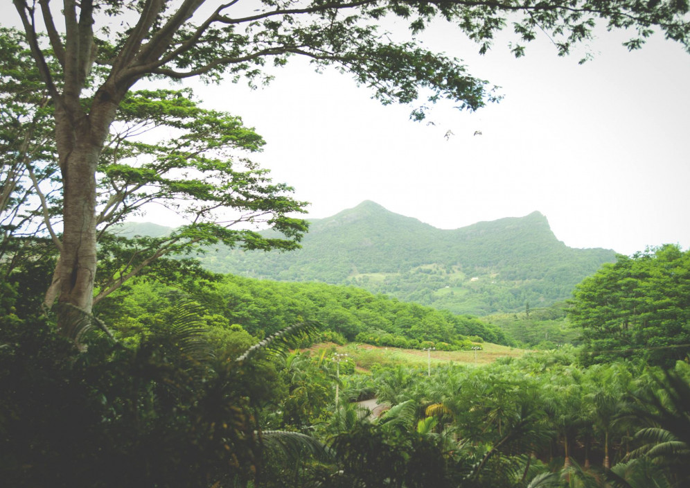Mauritius Header